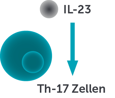 /*_onPageLoad*/      clip-path:inset(0% 0% 100% 0%);       transition: all 500ms;       transition-delay: 500ms;