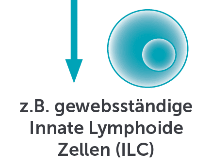 /*_onPageLoad*/      clip-path:inset(0% 0% 100% 0%);       transition: all 500ms;       transition-delay: 1000ms;